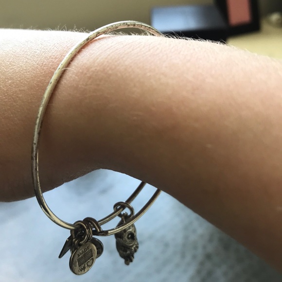 Alex and Ani owl bangle bracelet in silver - Picture 6 of 6